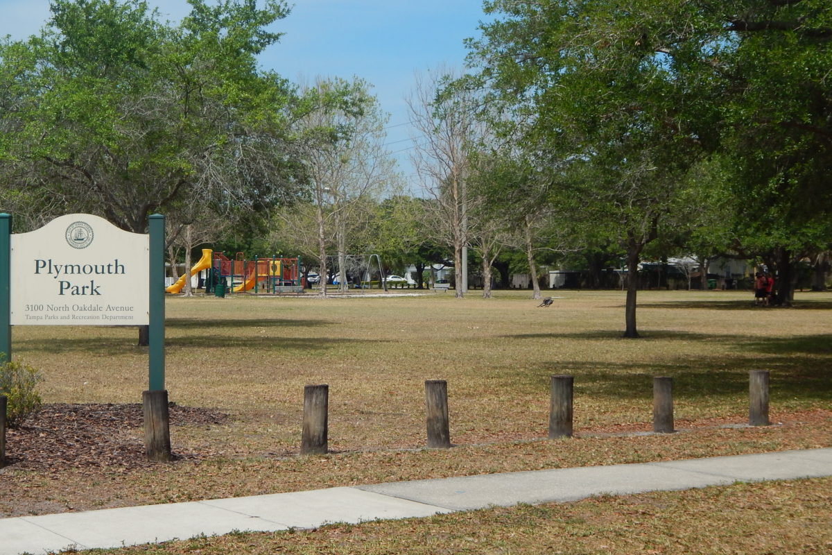 Riverside Heights & Ridgewood Park Seminole Heights Living